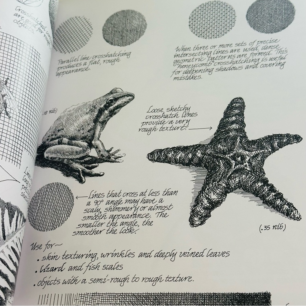 SIGNED Drawing In Pen & Ink Claudia Nice First Steps Series Paperback Book - Picture 9 of 10